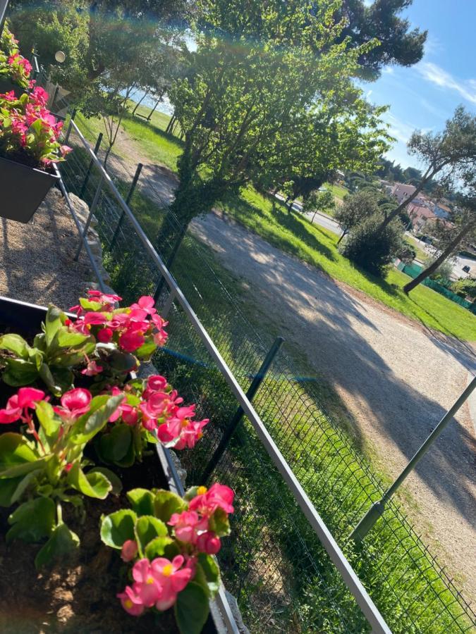 Mobile Home Biondina Camp Porton Nature Hideouts روفينج المظهر الخارجي الصورة