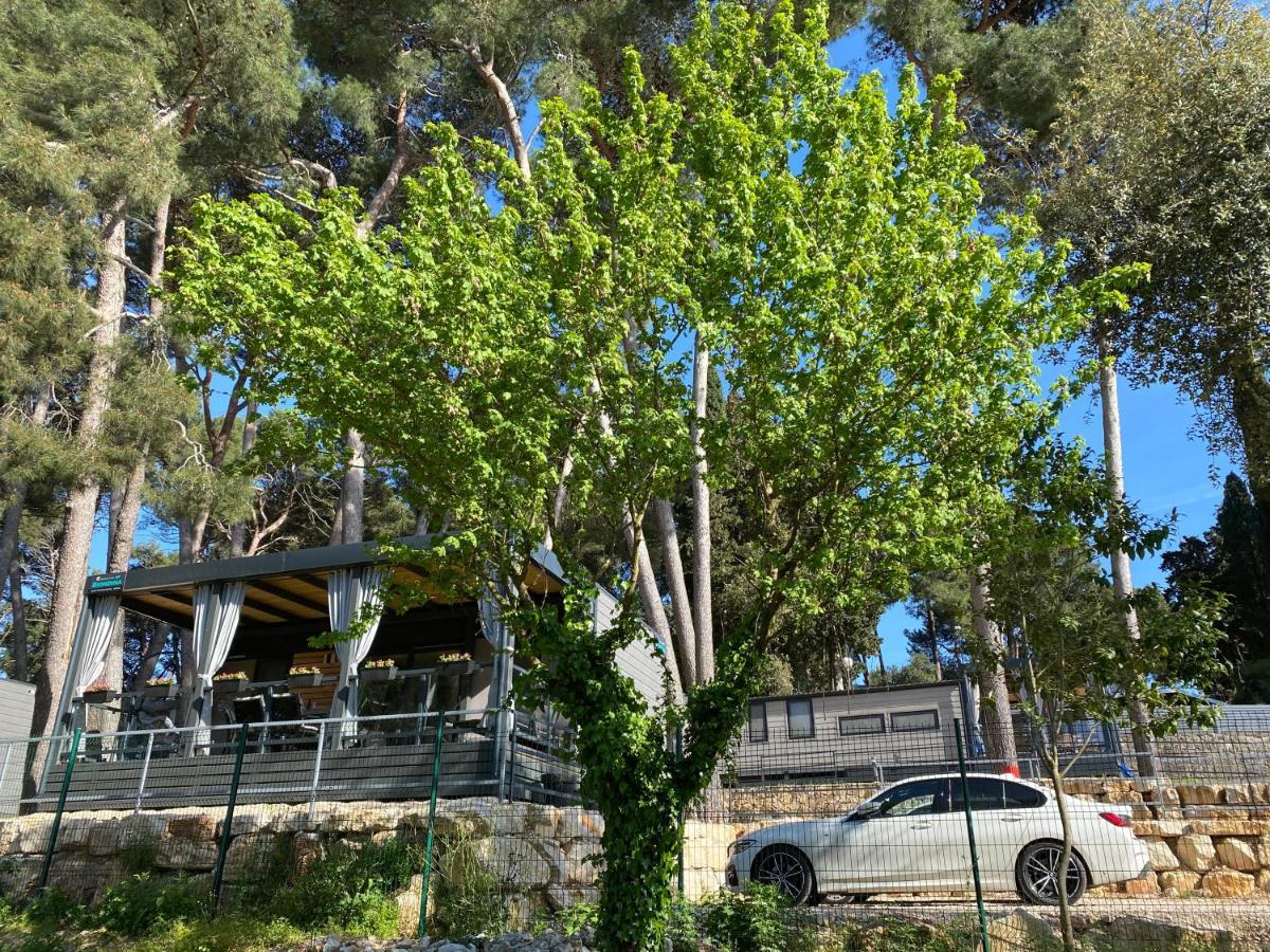 Mobile Home Biondina Camp Porton Nature Hideouts روفينج المظهر الخارجي الصورة